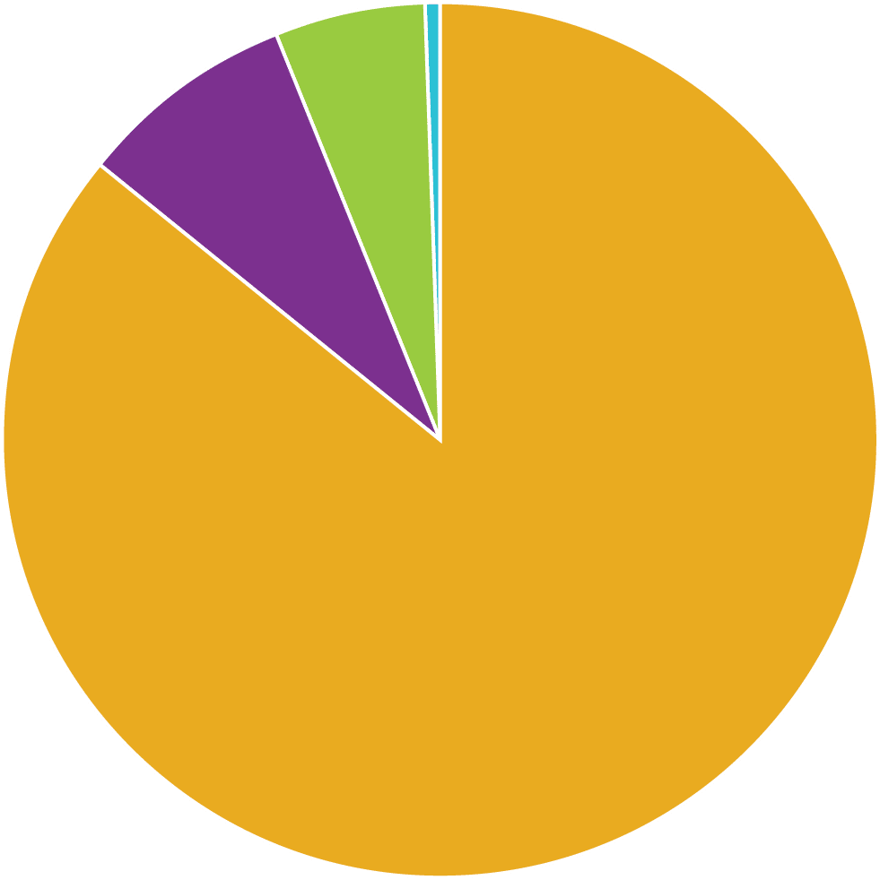 financial report